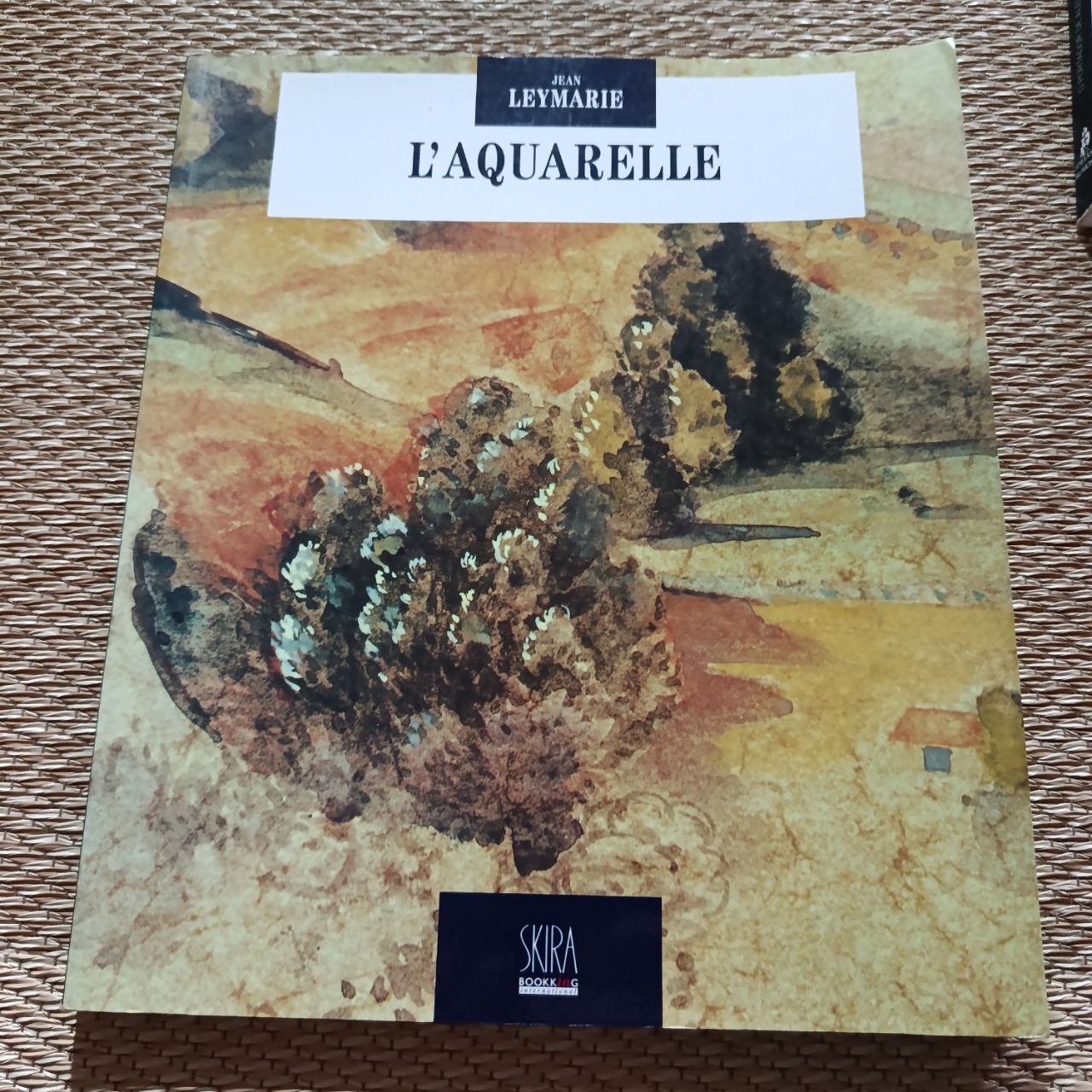 "L'Aquarelle" — Jean Leymarie (Éditions d'Art Albert Skira)