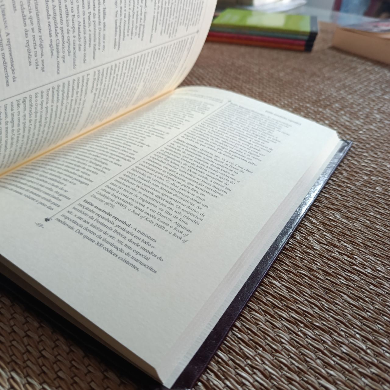 A Bibliofilia, Uma Paixão pilar Ruiz (4/4)