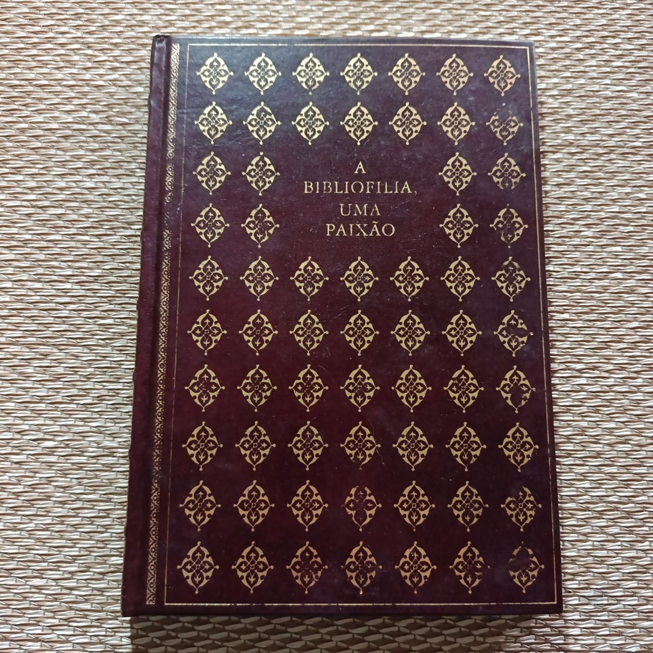 A Bibliofilia, Uma Paixão pilar Ruiz