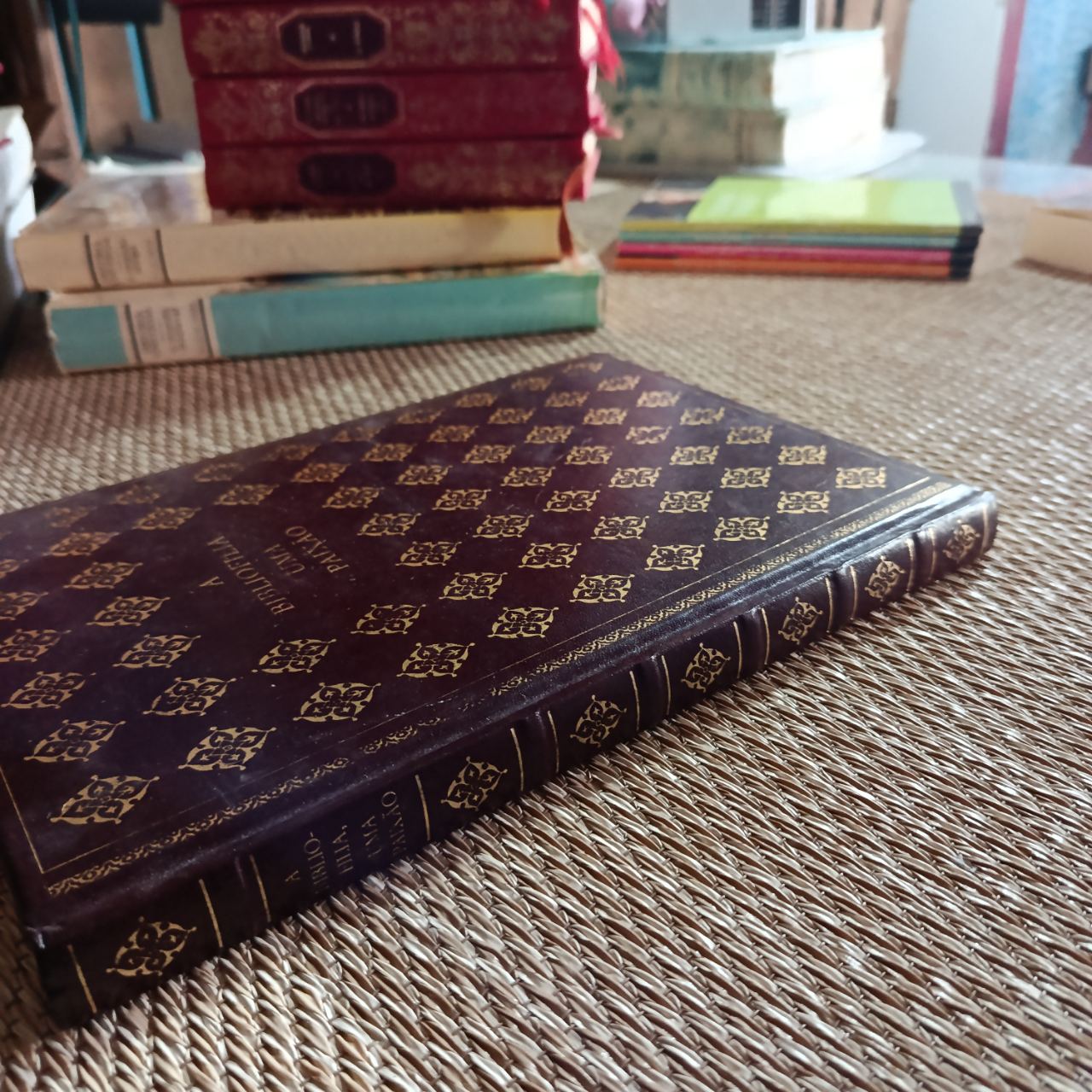 A Bibliofilia, Uma Paixão pilar Ruiz (2/4)
