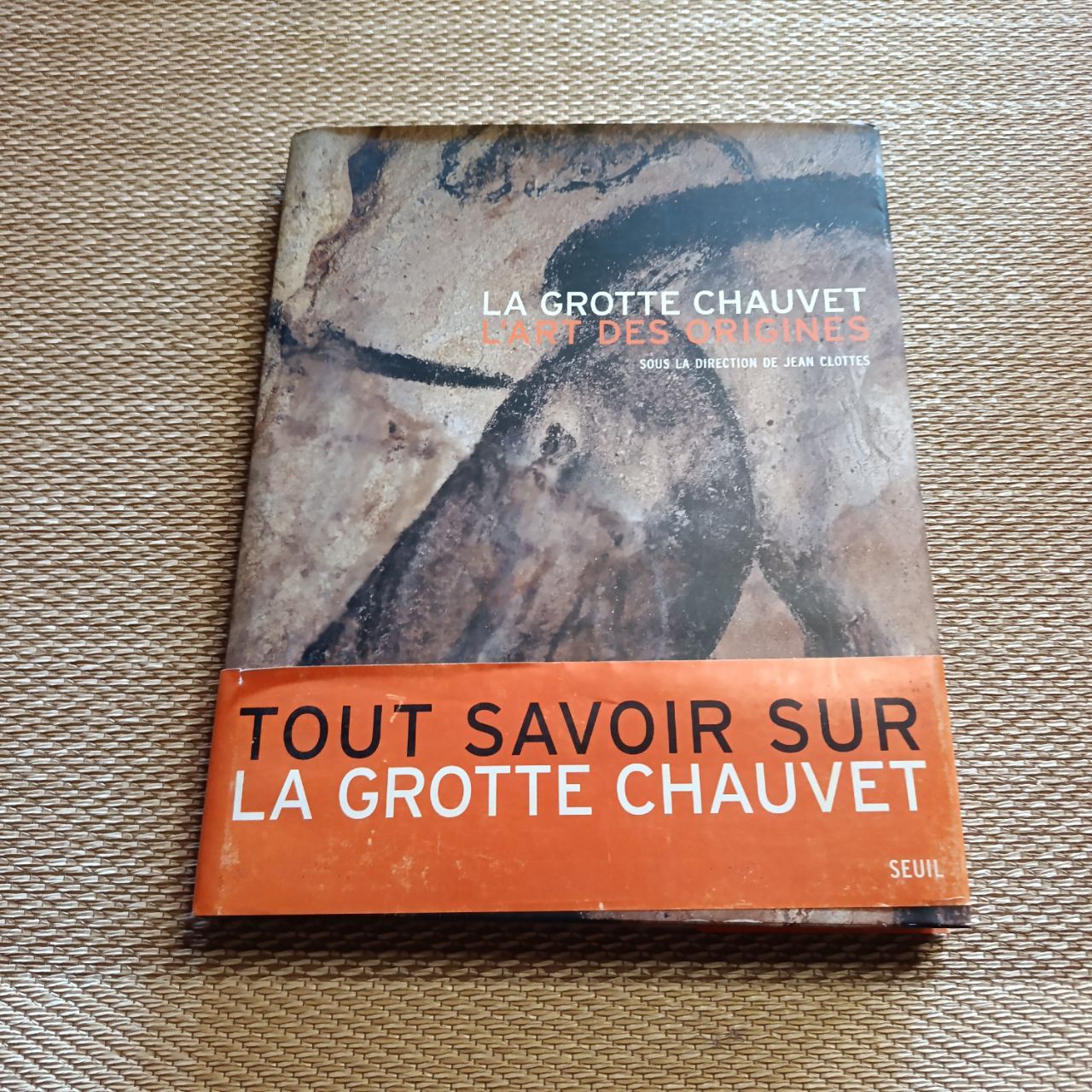 La Grotte Chauvet: L'Art des Origines Jean Clottes (1/4)