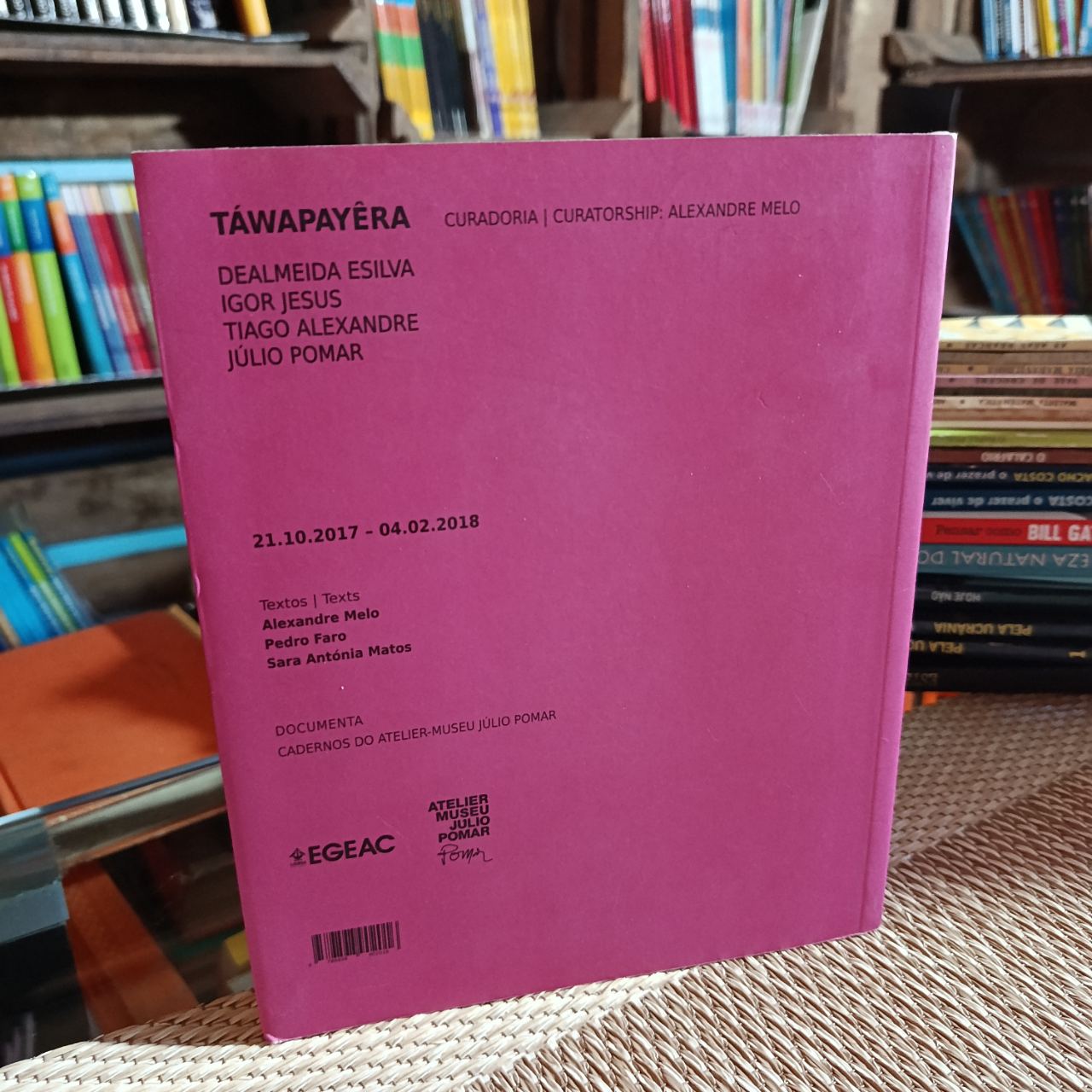 TÁWAPAYÊRA – DEALMEIDA ESILVA, Igor Jesus, Tiago Alexandre, Júlio Pomar (Curadoria de Alexandre Melo) (4/4)