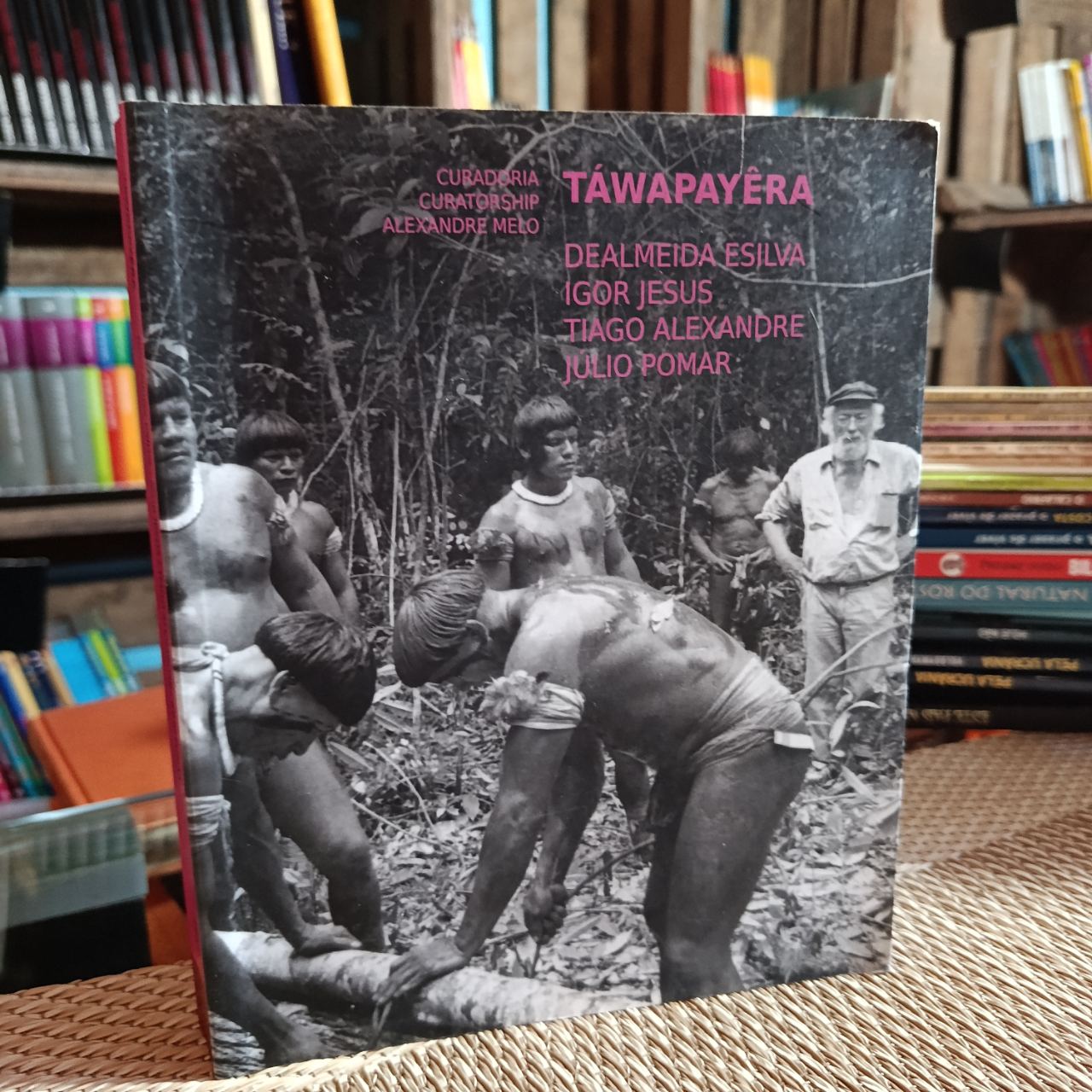 TÁWAPAYÊRA – DEALMEIDA ESILVA, Igor Jesus, Tiago Alexandre, Júlio Pomar (Curadoria de Alexandre Melo)
